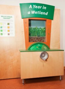 A year in a wetland kiosk